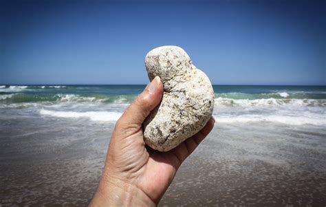 where to buy ambergris.